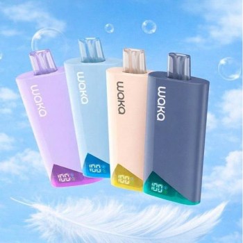 nabor-waka-light-nova-air-8000-usb-type-c-mors-chernaya-smorodina-yagodi-650x650