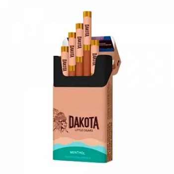 Dakota-menthol-Compact-1