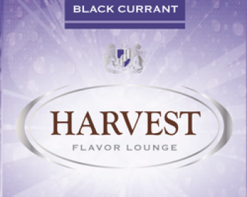 csm_harvest_range_blackcurrant_702eec2b75.800x600