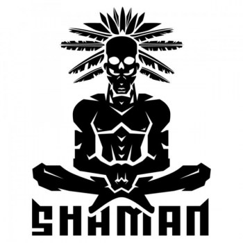 ugol-shaman.800x600